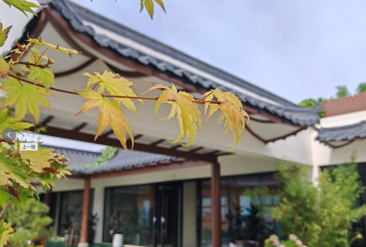 大连三千食康养活动两日体验