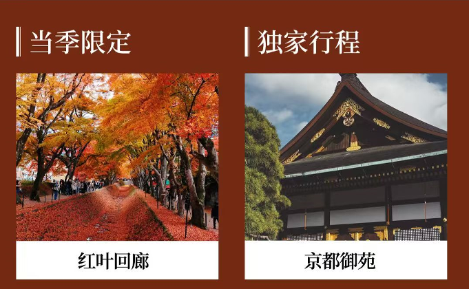 经典日本本州8日游